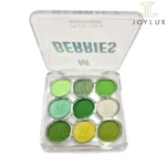 پالت سایه چشم میس لارا مدل Earthy شماره 01 با ۹ رنگ مات و شاین